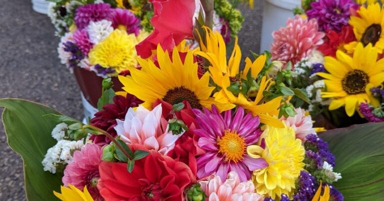 Variety of flowers at the Farmers Market