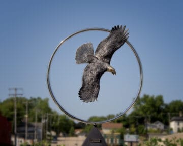Eagle sculpture at Eagle Plaza