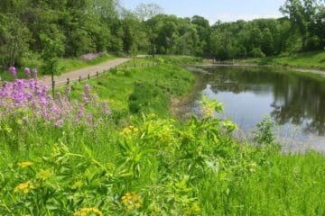 Picture of Horseshoe Pond