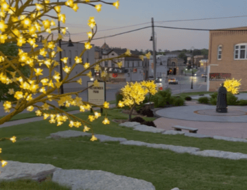 Fassbender Park at night with the lit trees