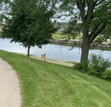 Greenery and the canal near Thilwerth Park