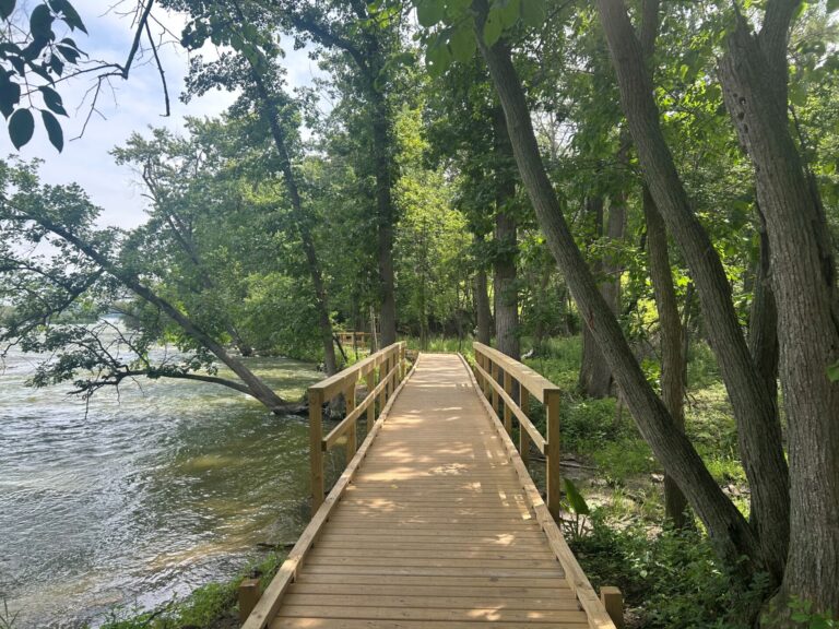 image of a boardwalk at 1000 Islands with greenery and the fox river on the left side