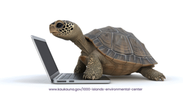 graphic shows a digital rendering of a tortoise standing on a laptop keyboard.